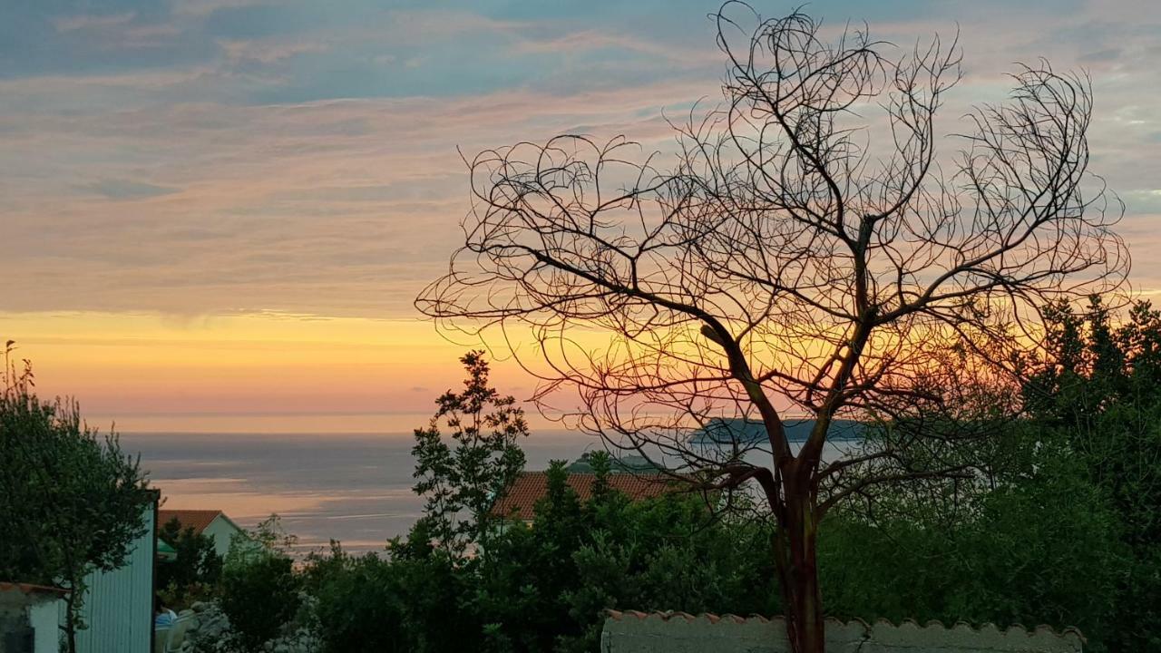 Apartmani Lazarevic Luštica Esterno foto